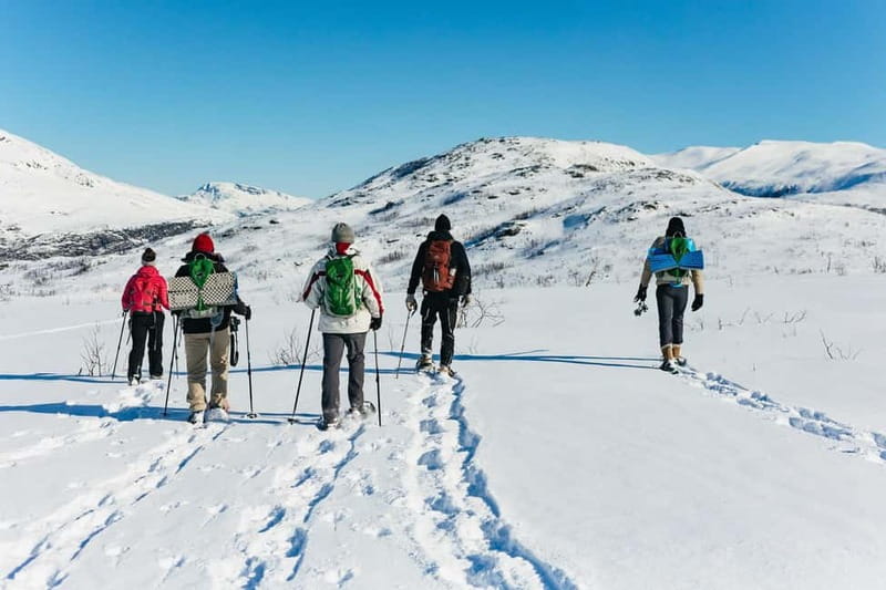 From Tromsø: Snowshoeing Hike with Picnic Lunch and Photos - What the $152 price buys you