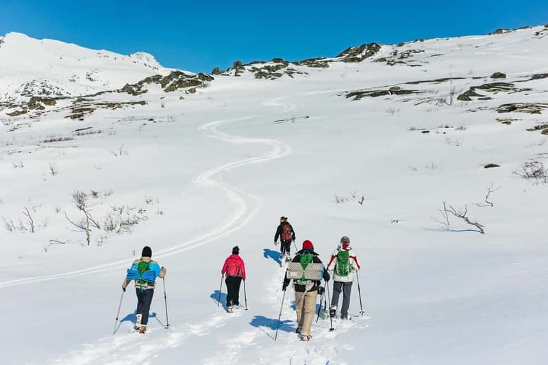 From Tromsø: Snowshoeing Hike with Picnic Lunch and Photos - Who will enjoy this hike most