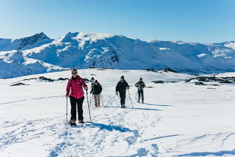 From Tromsø: Snowshoeing Hike with Picnic Lunch and Photos - Learning to walk in snowshoes
