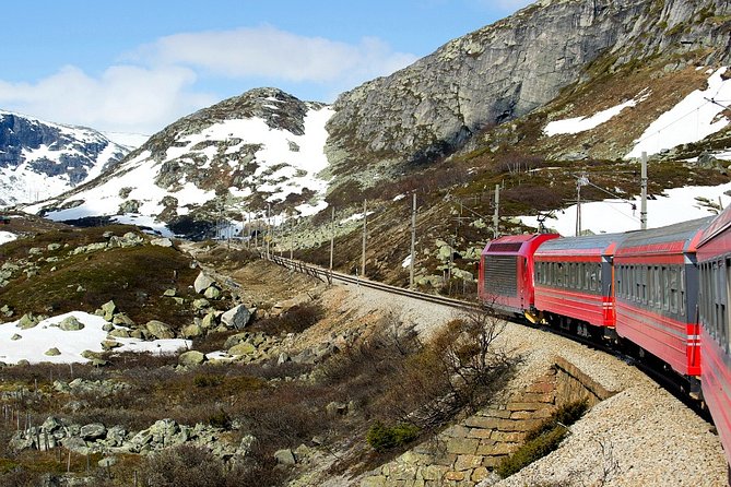Full Day Guided Roundtrip From Bergen To Sognefjord With Flam Railway - Is $969.60 per person a fair price?