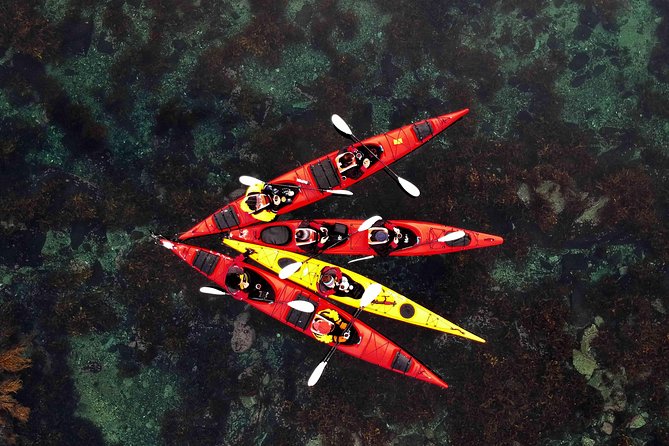 Full Day Kayak-Northern Explorer - Key points to know before booking
