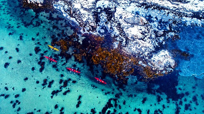 Full Day Kayak-Northern Explorer - Island water, sea eagles, and a possible sealion