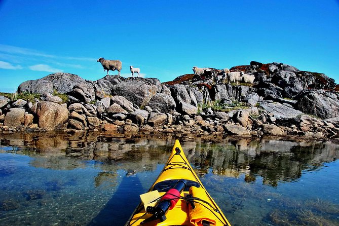 Full Day Kayak-Northern Explorer - Weather can shape the day