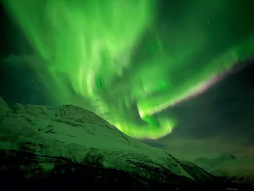 Full Night Magic of the Arctic Lights in Tromso - A five-hour hunt for the aurora