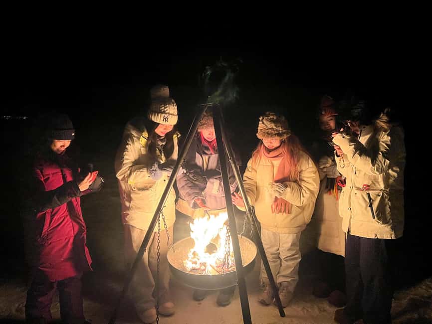 Full Night Magic of the Arctic Lights in Tromso - Meeting point, return trip, and age limits