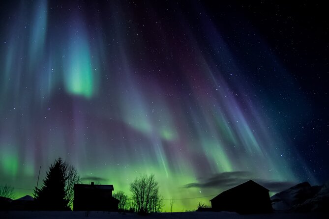 Full Night Magic of the Northern Lights in Tromso - Waiting in the Arctic cold