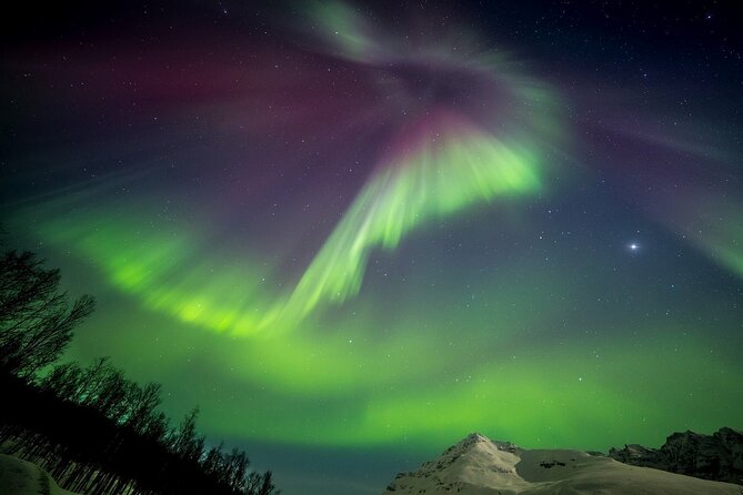 Full Night Magic of the Northern Lights in Tromso - Taking photos without losing the moment