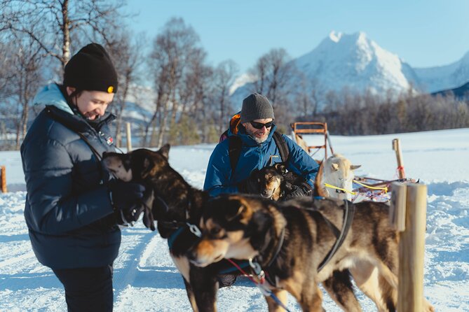 Fun & Easy Dog Sledding Adventure from Tromsø - Early Bird Tour - Leaving Tromsø at 8:10 a.m.
