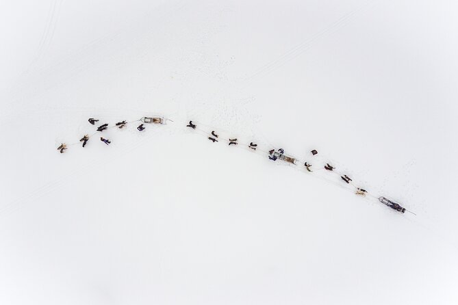 Fun & Easy Dog Sledding Adventure from Tromsø - Early Bird Tour - Time with the dogs after the ride
