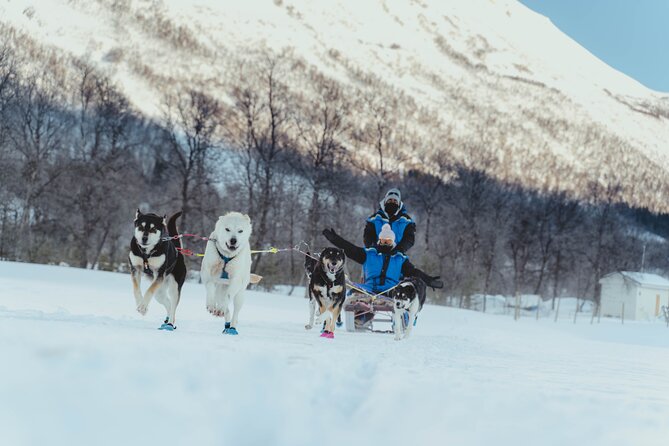 Fun & Easy Dog Sledding Adventure from Tromsø - Noon Tour - Getting ready in thermal suits and boots