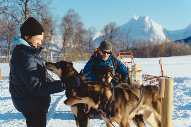 Fun & Easy Dog Sledding Adventure from Tromsø - Noon Tour - Coffee, cake, and a calmer finish