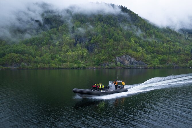 Fyksesund majestic RIB Adventure from Øystese - Is $95.93 good value for one hour?