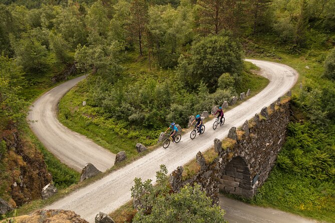 Geiranger: Sky to Fjord Downhill Biking Adventure - The road down to Geiranger