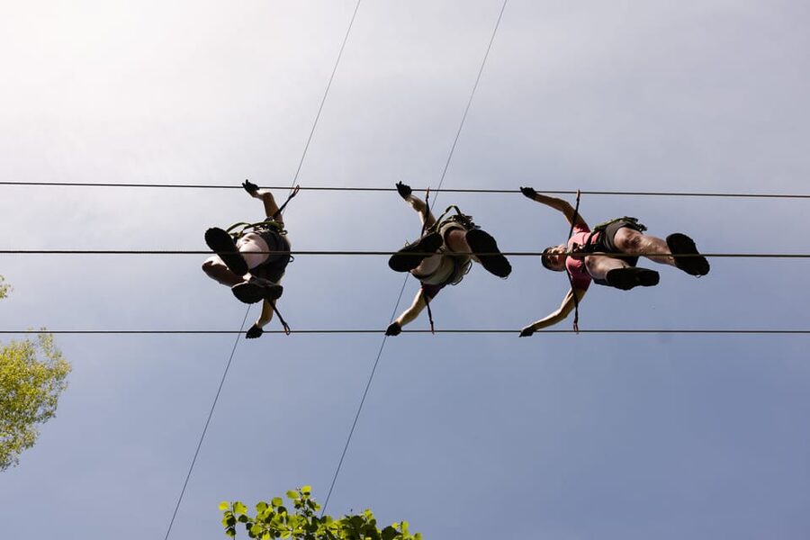 Geiranger: Zipline Park Experience - Who should choose each option?