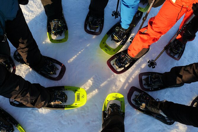 Guided easy snowshoeing with a visit to local café - Leaving Tromsø for Malangen at 9 in the morning