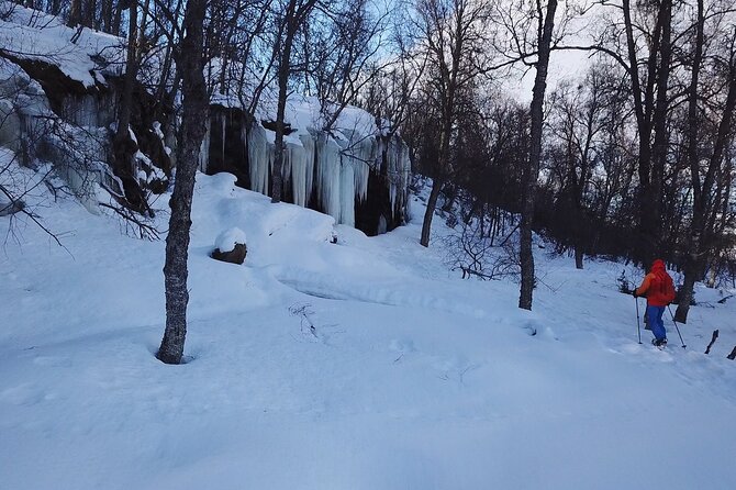 Guided easy snowshoeing with a visit to local café - Learning snowshoes without tackling a high mountain