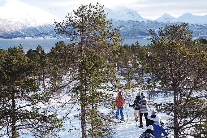 Guided easy snowshoeing with a visit to local café - The meaning of koselig on this trip