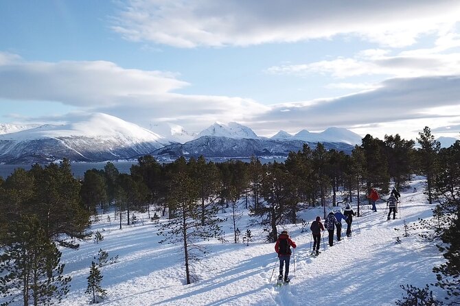 Guided easy snowshoeing with a visit to local café - Is $164.07 a fair price?