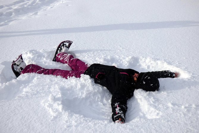 Guided easy snowshoeing with a visit to local café - What the four-and-a-half-hour schedule feels like