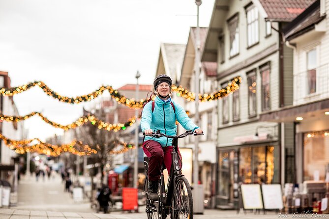 Guided EL-Bike tour in the city of Haugesund and Coastal path - From Haraldsgata to the Rising Tides horses