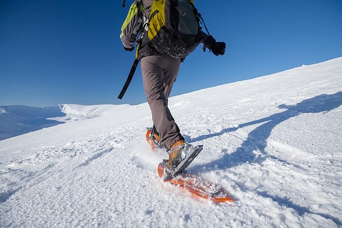 Guided Morning Snowshoe Hike with Huskies - Key things to know before you book