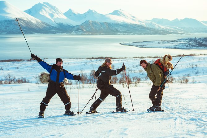 Guided Morning Snowshoe Hike with Huskies - A gentle way to meet Tromsø’s winter countryside