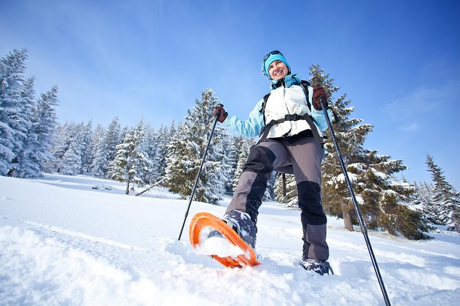 Guided Morning Snowshoe Hike with Huskies - Price, group size, and what you receive