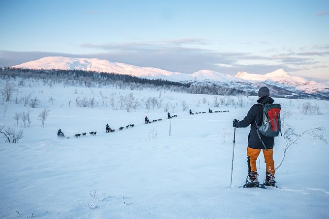Guided Morning Snowshoe Hike with Huskies - How the huskies change the walk