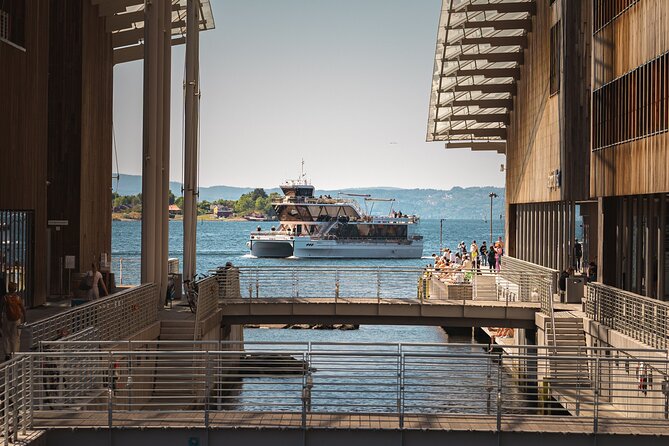 Guided Sightseeing Cruise on Oslofjord by Premium Silent Boat - Islands, wildlife, and small pieces of Oslo life