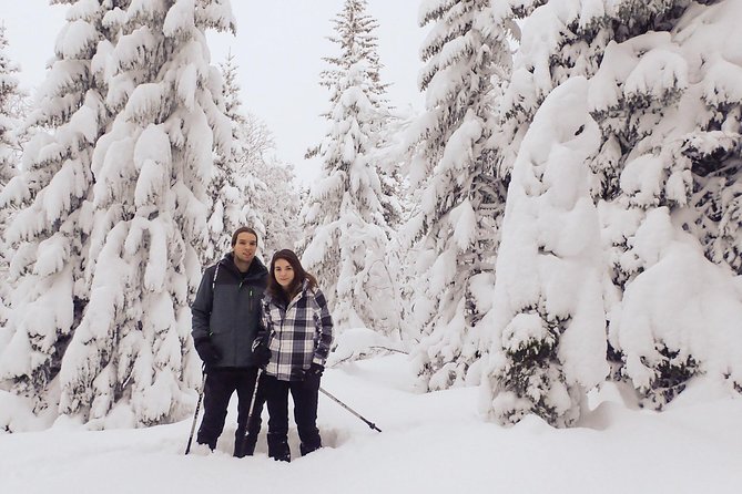 Guided Snowshoe Walk on Tromsoya Island in Tromso - Key points about the Tromsøya snowshoe walk