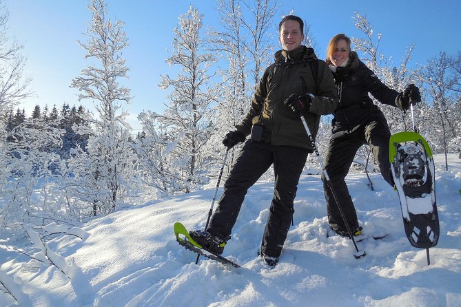 Guided Snowshoe Walk on Tromsoya Island in Tromso - From central Tromsø to the top of Tromsøya