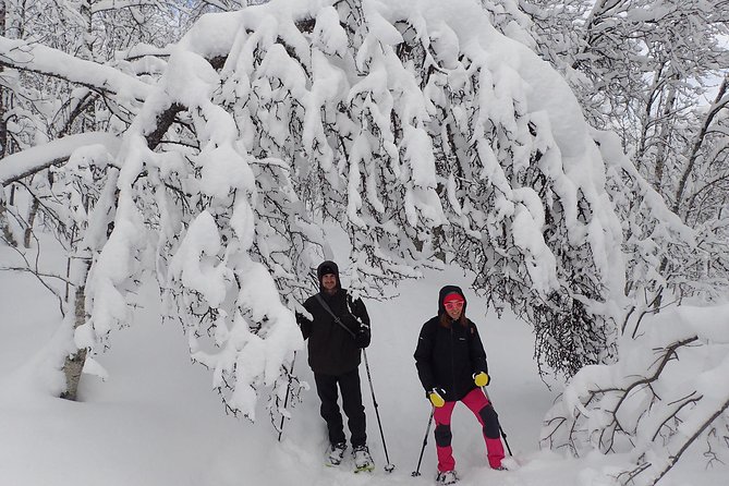 Guided Snowshoe Walk on Tromsoya Island in Tromso - What the two and a half hours really include