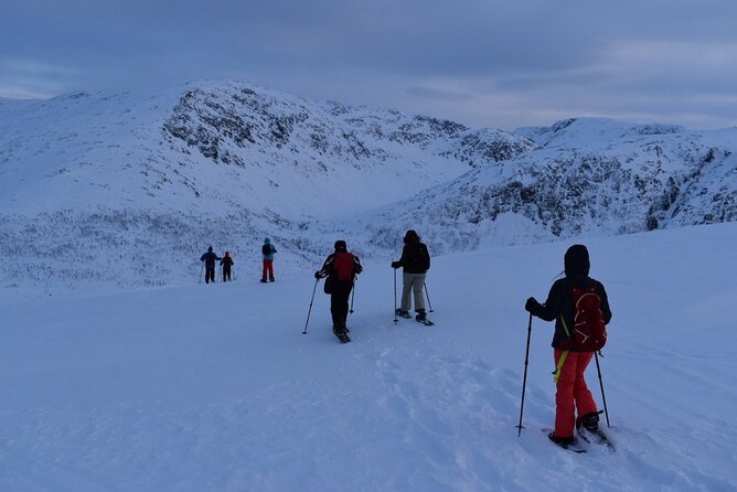 Guided Snowshoe Walk on Tromsoya Island in Tromso - Clothing matters more than the snowshoes