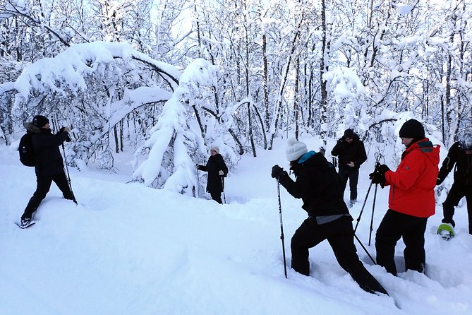 Guided Snowshoe Walk on Tromsoya Island in Tromso - Learning to walk in snowshoes