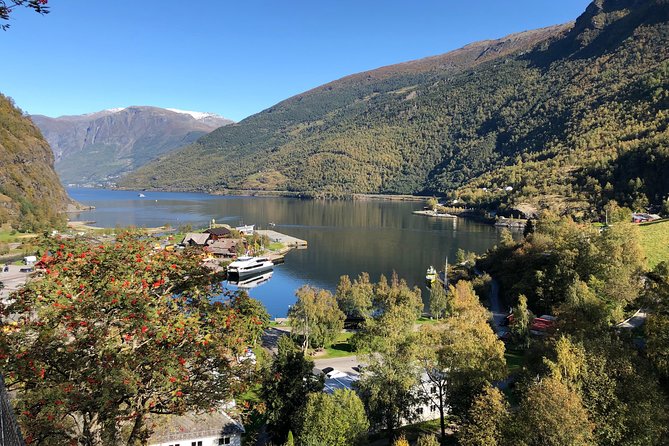 Guided Tour To Nærøyfjorden, Flåm And Stegastein - Viewpoint Cruise - The climb to Stegastein viewpoint