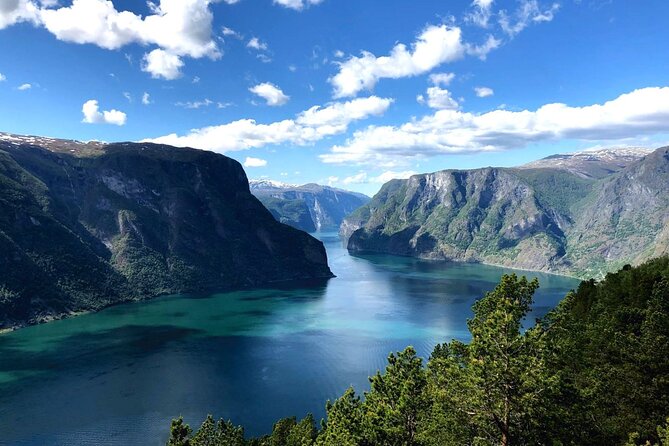 Guided Tour To Nærøyfjorden, Flåm And Stegastein - Viewpoint Cruise - Tvindefossen: a quick waterfall stop