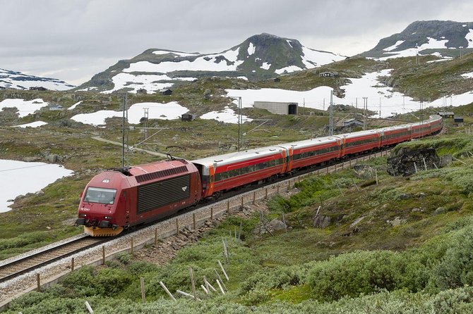 Guided tour - Viking Village, Nærøyfjord Cruise and Flåm Railway - Myrdal and the Bergen Railway to Voss