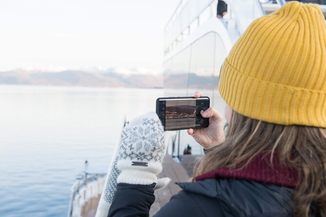 Half Day Arctic Fjord Cruise from Tromso - Ramfjorden: mountains, ice, and Arctic wildlife
