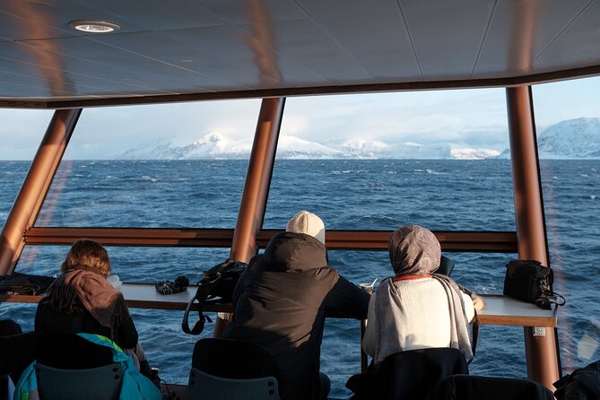 Half Day Arctic Fjord Cruise from Tromso - A practical boat for Arctic weather
