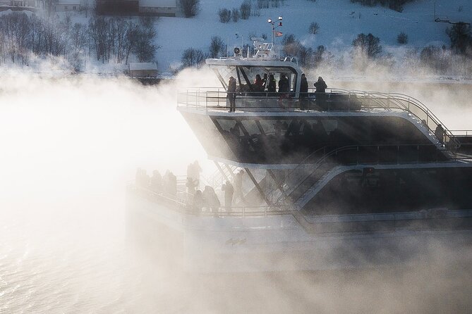 Half Day Arctic Fjord Cruise from Tromso - Should you book the Half Day Arctic Fjord Cruise?