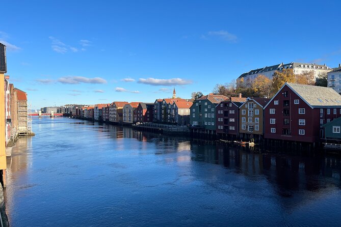 Half-Day Highlights of Trondheim by Bus and City Walk - Why this tour works well in Trondheim