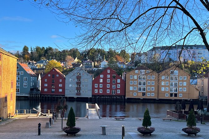 Half-Day Highlights of Trondheim by Bus and City Walk - Trondheim Torg and the Britannia area