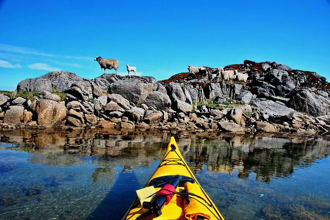 Half Day Kayak - Northern Explores AS - How to prepare for Eggum