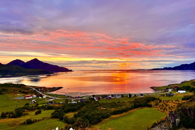 Half-Day Scenic Wildlife & Photographic Fjord Tour. - Kvaløya’s fjords and open Arctic scenery
