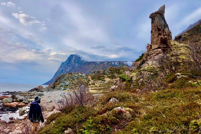 Half-Day Scenic Wildlife & Photographic Fjord Tour. - Wildlife on its own terms