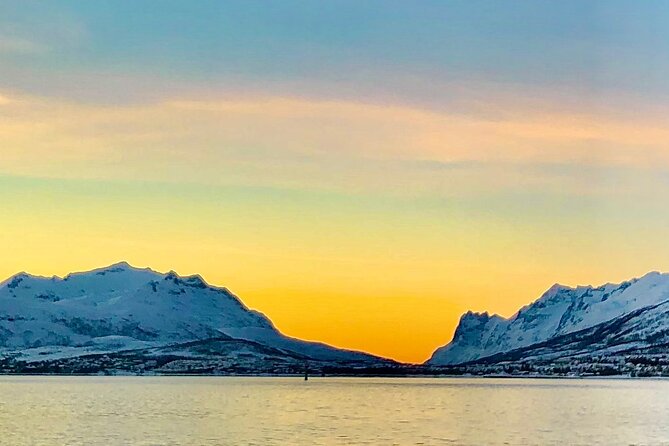 Half-Day Scenic Wildlife & Photographic Fjord Tour. - A personal guide makes the difference