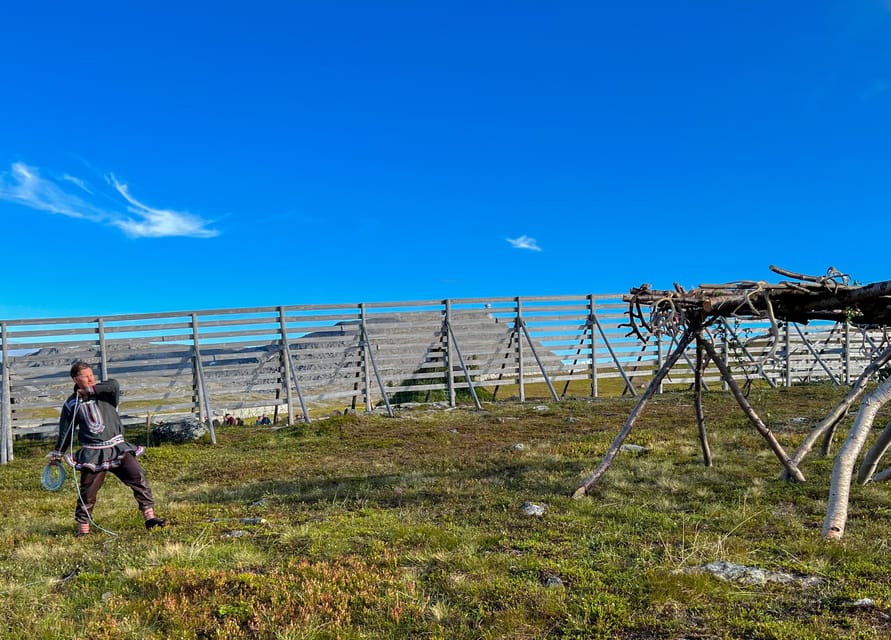 Hammerfest: Guided Tour - Meet Reindeer - Meeting the herd in a working Sámi camp