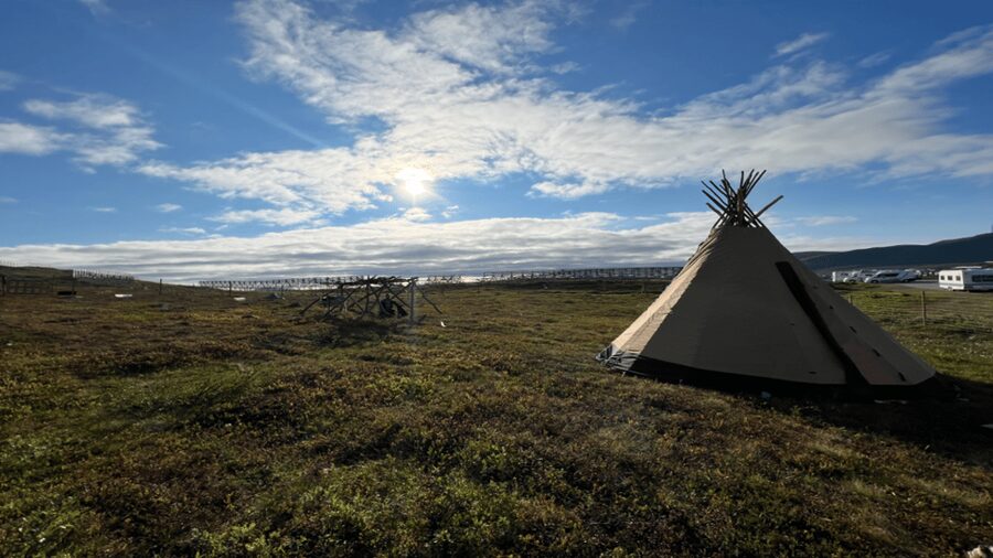 Hammerfest: Guided Tour - Meet Reindeer - Hearing joik in its proper setting