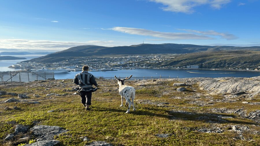 Hammerfest: Guided Tour - Meet Reindeer - What the 90-minute schedule feels like