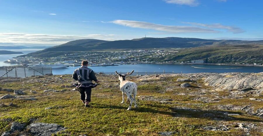 Hammerfest: Guided Tour - Meet Reindeer - Is $157 a fair price?